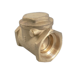 CLAPET À BATTANT DN40 PN10  6/4 - Comp