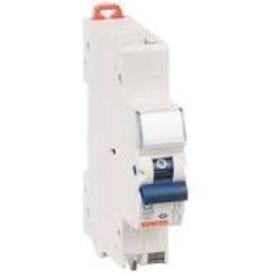 Disjoncteur 1 Module/ 2P-20A-4.5Ka Be - Gewis