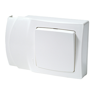 Oteo inter 2 dir spécial DLP 10 A - 250V - vente en magasin - Legrand